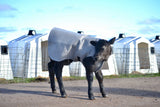 Regular Calf Covers