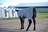 Regular Calf Covers