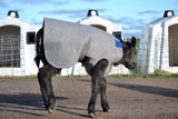 Regular Calf Covers