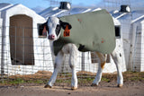 Ultra Calf Covers